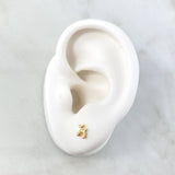 Topos Perro Globo 0.9gr / 5mm Liso Oro Amarillo
