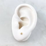 Topos Caja 0.6gr / 2.5mm Diamantes Blancos 0.5pts Oro Amarillo 18K (Joya) ©