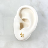 Topos Perro Schnauzer 0.6gr / 7mm Liso Oro Amarillo 18K