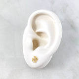 Topos Pez 0.8gr / 7mm Circones Blancos - Ojos Verdes Oro Amarillo 18K