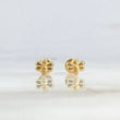 Topos Abeja 0.6gr / Alas Lisas Oro Amarillo ©