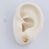 Topos Concha Marina 0.8gr / 8.17mm Oro Amarillo 18K %