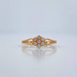 Anillo Flor Linea Doble 1.55gr / T6 3/4 / Oro Amarillo 18K %