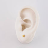 Piercing Topo Bola Diamantada 0.2g / 1cm Oro Amarillo 18K