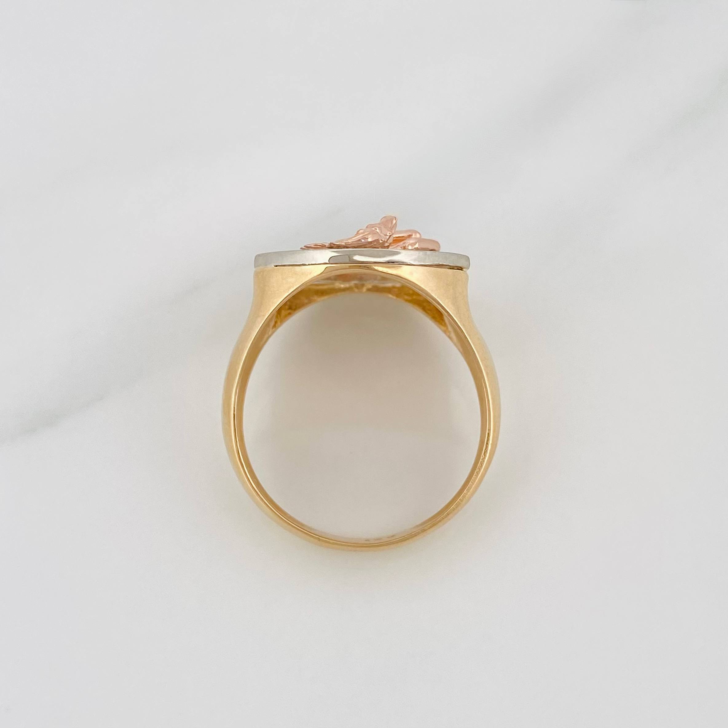 Anillo Caballo 8 g / T10 Tres Oros 18K