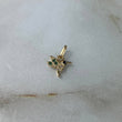 Dije Colibri 0.35gr / 1.1cm Circones Blancos Negros Verdes Oro Amarillo