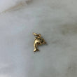 Dije Delfin 0.45gr / 1.8cm / Oro Amarillo