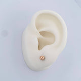 Topos Bola 0.5gr / 4mm Oro Rosa 18K &