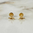Topos Colibrí 0.5gr / Oro Amarillo ©