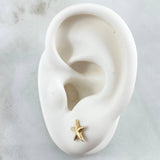Topos Estrella Mar 0.95gr / Oro 18K ©