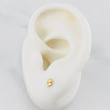 Topos Gc 0.5 g / 3.12 mm Oro Amarillo 18K