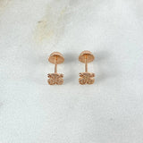 Topos Oso TS 0.8gr / Circones Blancos Oro Rosa ©