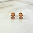 Topos Oso TS 0.8gr / Circones Blancos Oro Rosa ©