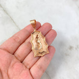 Dije Virgen de Guadalupe 9.2gr / 5cm / Circones Blancos Oro Rosa
