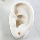Topos Flor 0.65gr / Oro 18K ©