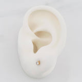 Topos Cuatro Garras Diamante 12Pts 0.55 g / 2.4 mm Oro Amarillo 18K