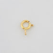 Broche Reasa 0.25 g Oro Amarillo 18K