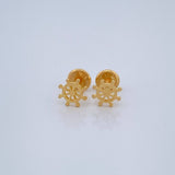 Topos Timon 0.7gr / Oro Amarillo 18K %