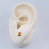 Topos Elefante 0.75gr / Oro Amarillo 18K %