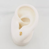 Topos Oso Ts 0.65 g / 2 mm Oro Amarillo 18K
