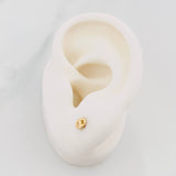 Topos Gc 0.5 g / 3.65 mm Oro Amarillo 18K