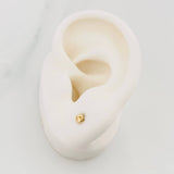 Topos Gc 0.5 g / 2.5 mm Oro Amarillo 18K