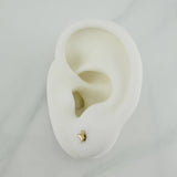 Topos Mariposa 0.55gr / 3.55mm Oro Amarillo 18K &