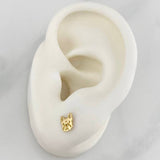 Topos Rostro Perro 0.75gr / 6.02mm Oro Amarillo 18K