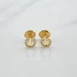 Topos Herradura 0.7gr / 5.56mm Oro Amarillo 18K