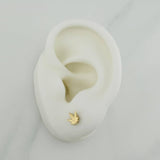 Topos Hojas 0.75gr / 6.39mm Oro Amarillo 18K