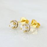 Topos Piedra Cuatro Garras Diamantes 26pts 1.7gr / Oro Amarillo 18K ©
