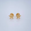 Topos Estrella 0.7gr / Oro Amarillo 18K %