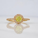 Anillo Flor Churumbela 2.45 g / T7 Oro Amarillo 18K