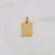 Dije Placa Pergamino 1.65g / 2.3cm Oro Amarillo 18K