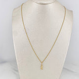 Set Cadena Singapur + Dije Oso / 1,35gr / 45 cm Oro Amarillo 18K