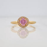 Anillo Halo 1.65g / T6 3/4 Oro Amarillo 18K