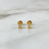 Topos Oso TS 0.65gr / Circones Blancos Oro Amarillo ©