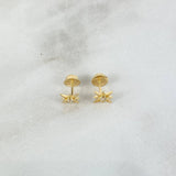 Topos Estrella De David 0.8gr / Circon Blanco Oro Amarillo ©
