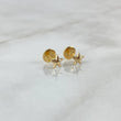 Topos Estrella 0.45gr / Oro Amarillo ©