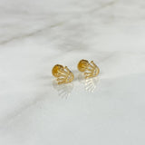 Topos Corona RX 0.7gr / Circones Blancos Oro Amarillo ©
