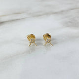 Topos Bailarina 0.75gr / Circones Blancos Oro Amarillo ©