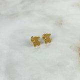 Topos Oso TS 0.8gr / Oro Amarillo ©