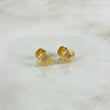 Topos Bolsa Dinero 0.7gr / Oro Amarillo ©