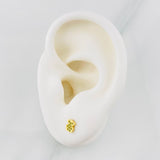 Topos Oso Ts 0.65g / 5mm Oro Amarillo 18K