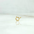 Reasa 0.05gr / Oro Amarillo +2 ©