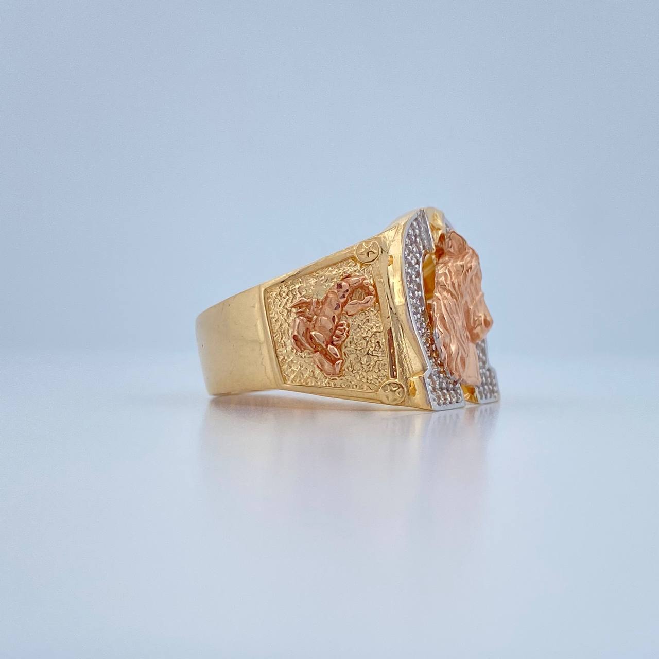 Anillo Herradura Caballo 8.55gr / T10 / Tres Oros 18K $