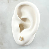 Topos Piedra Seis Garras 1.1gr / 5.5mm Circon Blanco Oro Amarillo 18K (Joya) ©
