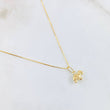 Set Cadena y Dije Veneciana + Tortuga 1.25gr / 45cm / Oro Amarillo 18K (Oferta) ©