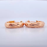 Candongas Mary 4.2gr / 2.5cm / Oro Rosa 18K $