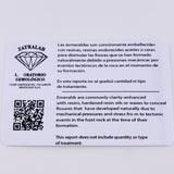 Dije Circulo Halo Tupido 30pts Esmeralda 20pts Diamantes 1.3gr / 1.5cm / Oro Amarillo 18K ©